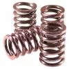 Barnett Performance Products Clutch Spring Set